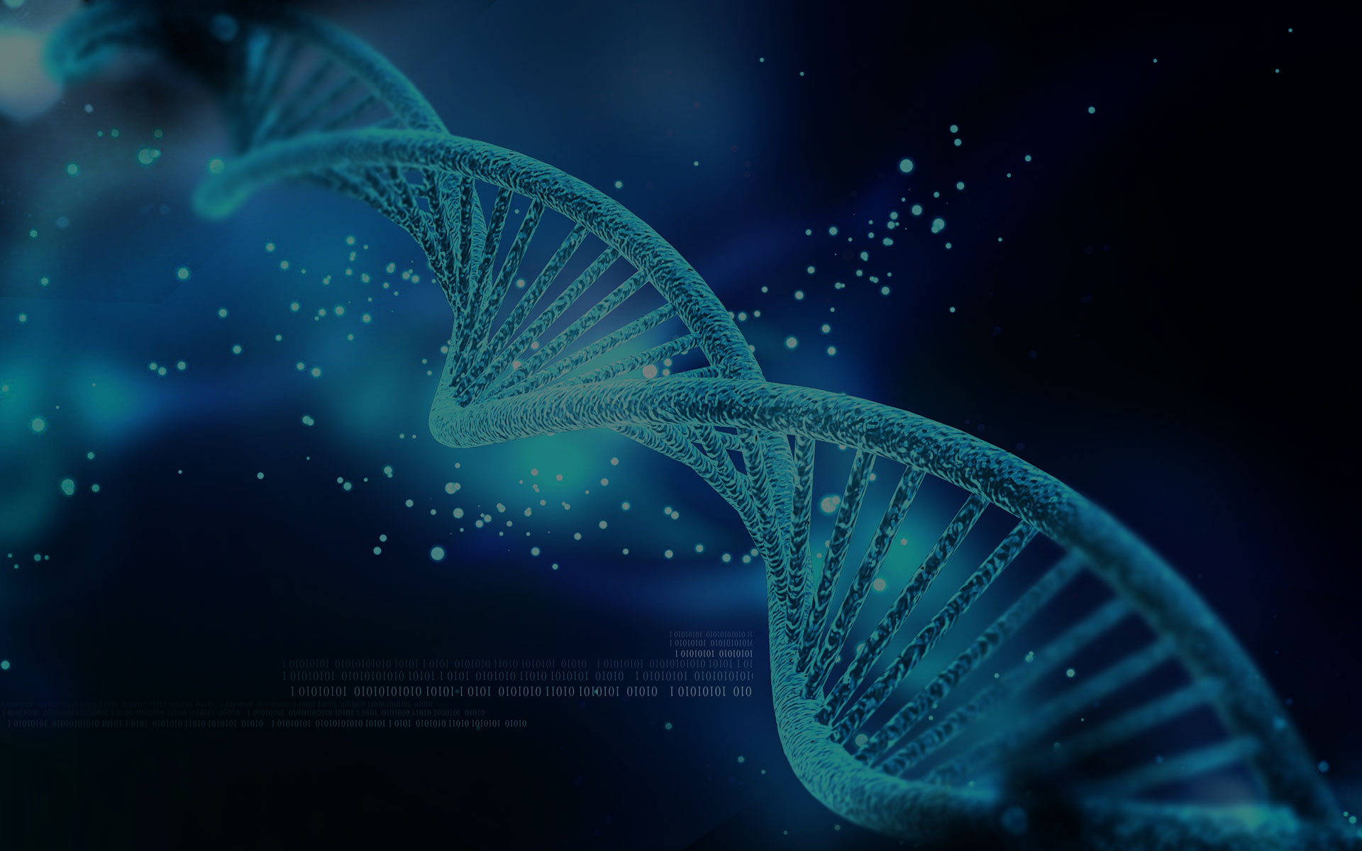 Dna